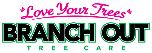 Branch-Out-Tree-Care (1)