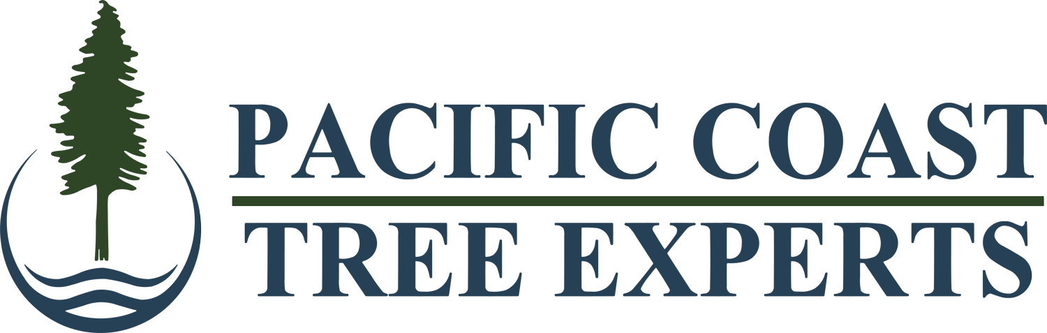 Pacific-Coast-Tree-Experts